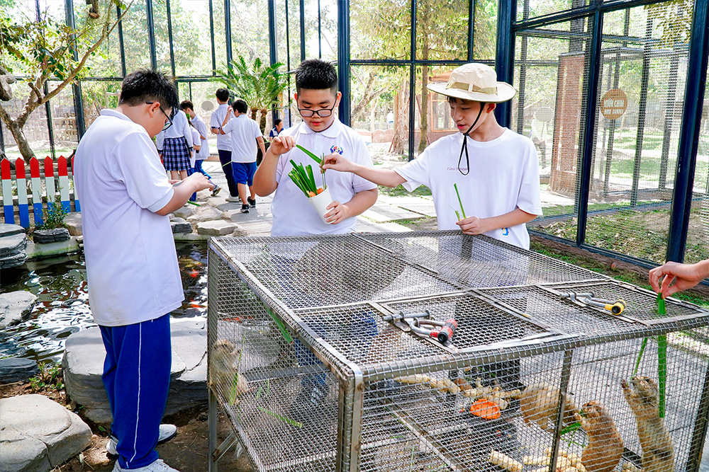 Hoạt động trải nghiệm